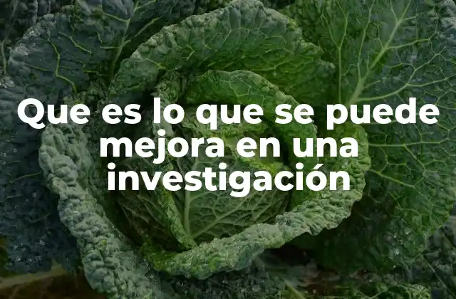 Que es Lo que Se Puede Mejora en una Investigación