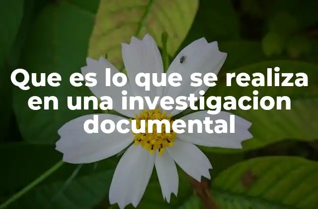 Que es Lo que Se Realiza en una Investigacion Documental