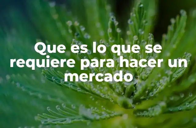 Que es Lo que Se Requiere para Hacer un Mercado