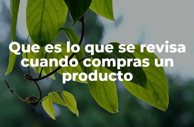 Que es Lo que Se Revisa Cuando Compras un Producto