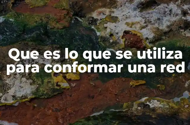 Que es Lo que Se Utiliza para Conformar una Red