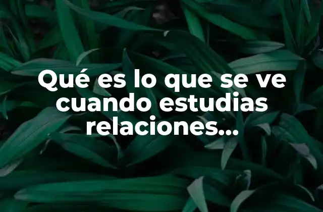 Qué es Lo que Se Ve Cuando Estudias Relaciones Internacionales