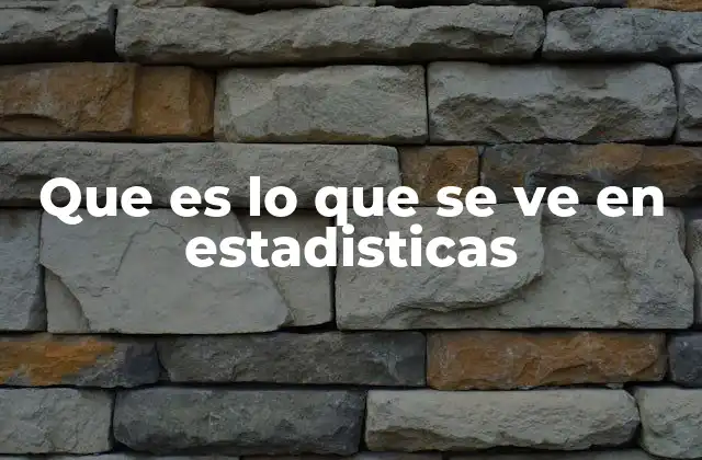 Que es Lo que Se Ve en Estadisticas