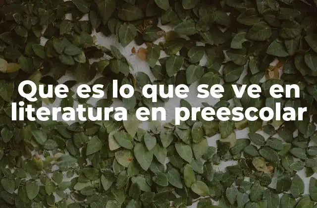 Que es Lo que Se Ve en Literatura en Preescolar