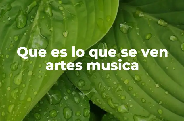 Que es Lo que Se Ven Artes Musica
