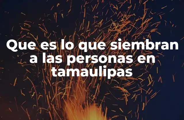 Que es Lo que Siembran a las Personas en Tamaulipas