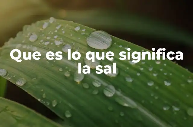 Que es Lo que Significa la Sal