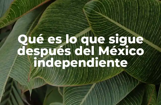 El proceso de formación de una nación independiente