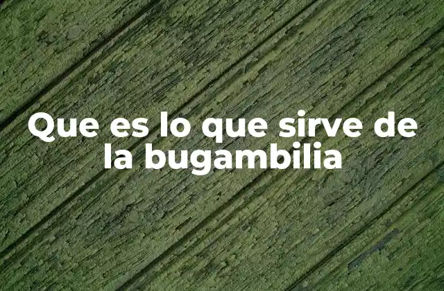 Que es Lo que Sirve de la Bugambilia