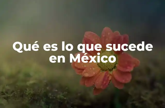 Qué es Lo que Sucede en México