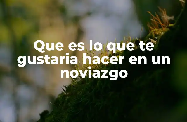 Que es Lo que Te Gustaria Hacer en un Noviazgo