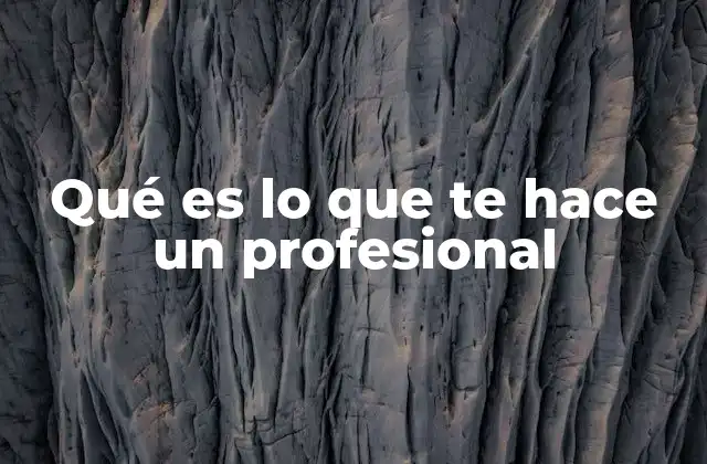 Qué es Lo que Te Hace un Profesional