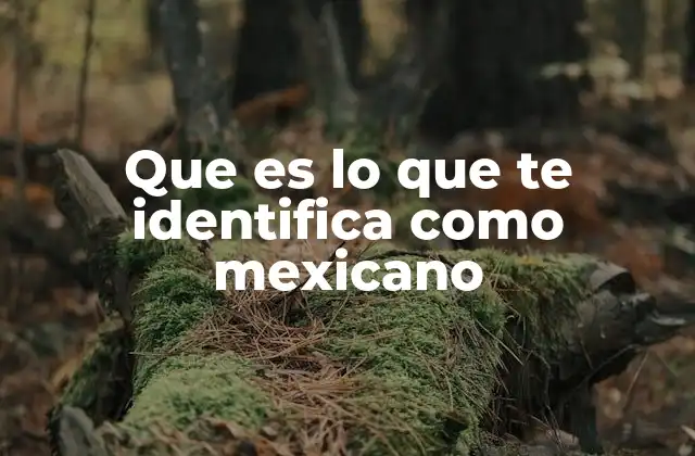 La identidad mexicana a través de sus símbolos y tradiciones