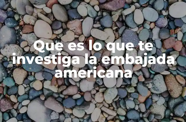 Que es Lo que Te Investiga la Embajada Americana