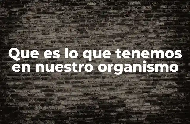 Que es Lo que Tenemos en Nuestro Organismo 2 Los componentes esenciales que sustentan la vida
