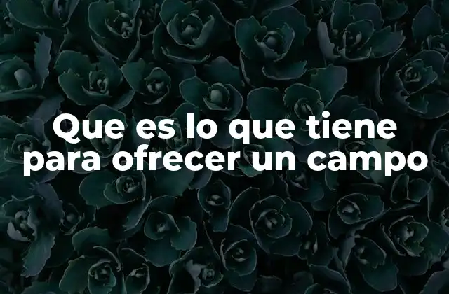 Que es Lo que Tiene para Ofrecer un Campo