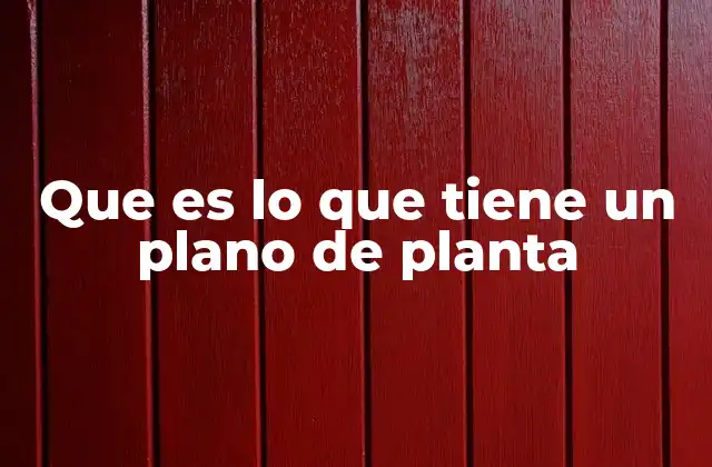 Que es Lo que Tiene un Plano de Planta