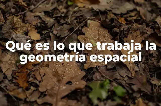 Qué es Lo que Trabaja la Geometría Espacial