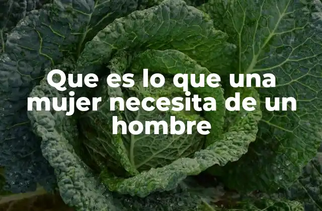 Que es Lo que una Mujer Necesita de un Hombre