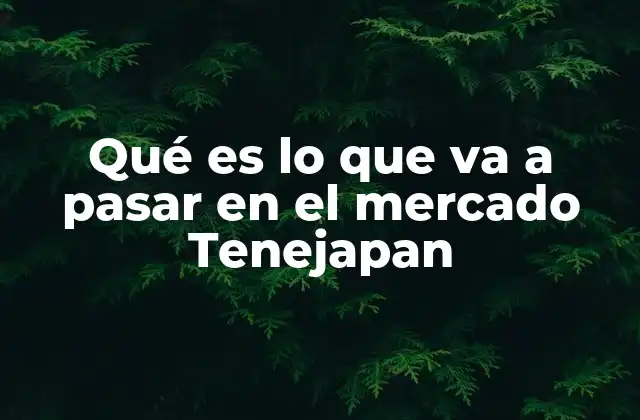 Qué es Lo que Va a Pasar en el Mercado Tenejapan