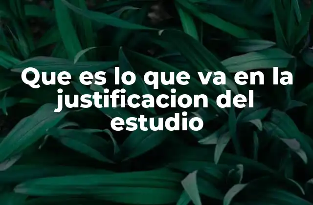 Que es Lo que Va en la Justificacion Del Estudio