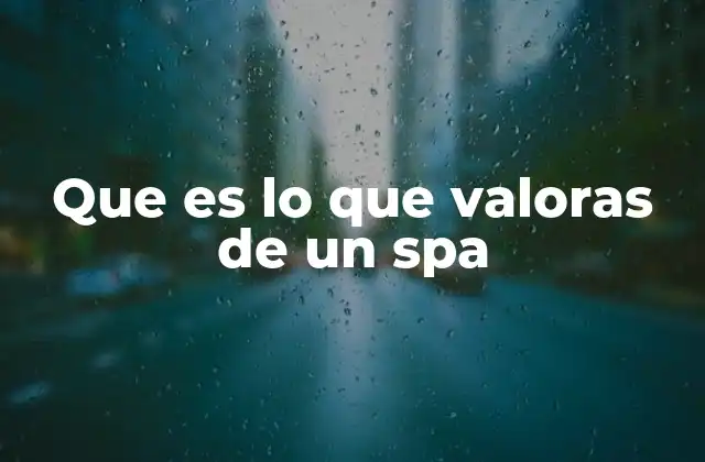 Que es Lo que Valoras de un Spa
