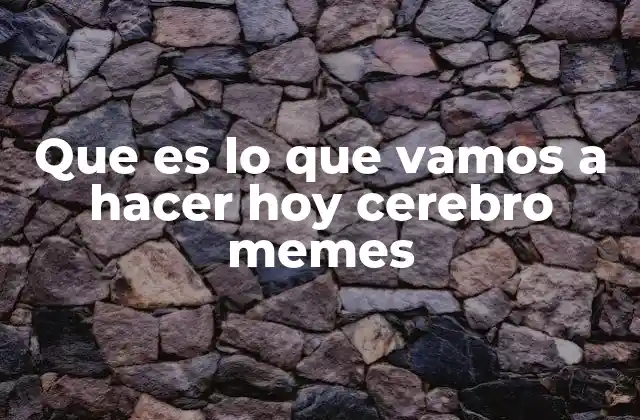 Que es Lo que Vamos a Hacer Hoy Cerebro Memes