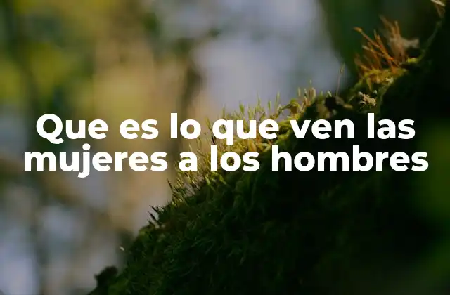 Que es Lo que Ven las Mujeres a los Hombres 2 Más allá de lo físico: la percepción femenina en la relación humana