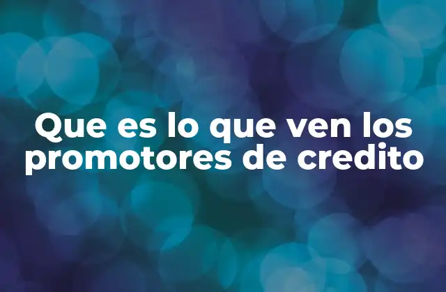 Que es Lo que Ven los Promotores de Credito