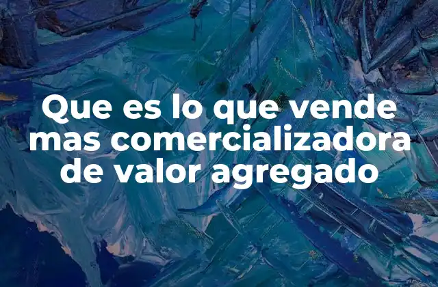 Que es Lo que Vende mas Comercializadora de Valor Agregado