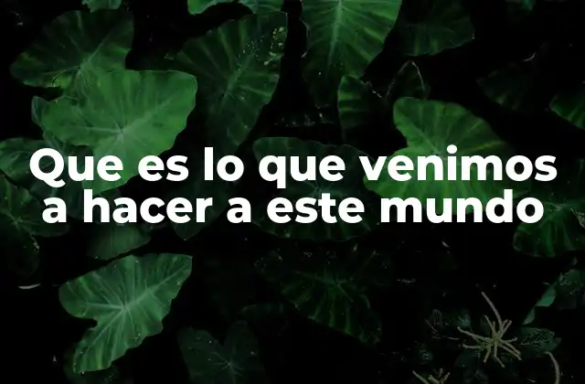 Que es Lo que Venimos a Hacer a Este Mundo