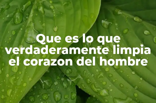 El corazón y la pureza en el contexto humano