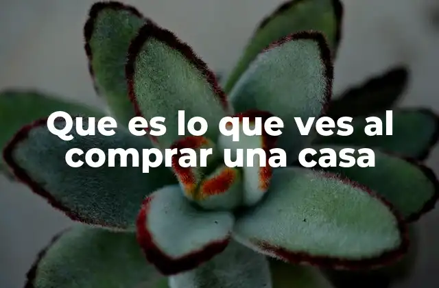 Que es Lo que Ves Al Comprar una Casa