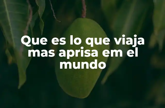 Que es Lo que Viaja mas Aprisa Em el Mundo