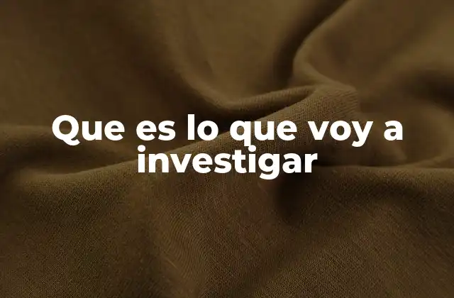 Que es Lo que Voy a Investigar