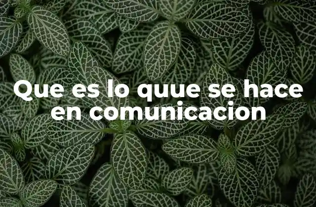 Que es Lo Quue Se Hace en Comunicacion