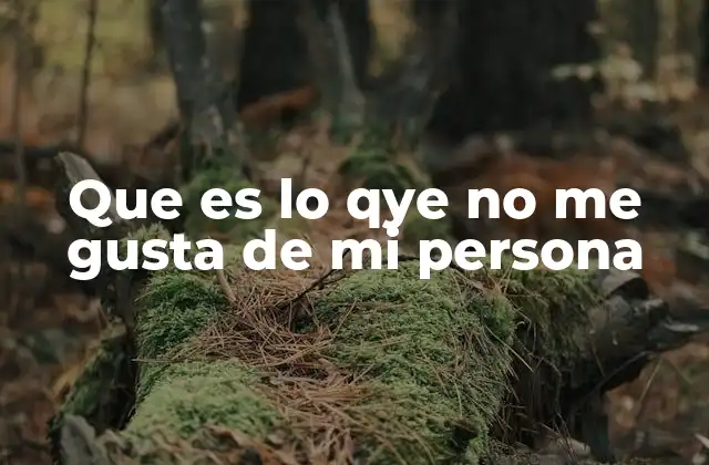 Que es Lo Qye No Me Gusta de Mi Persona