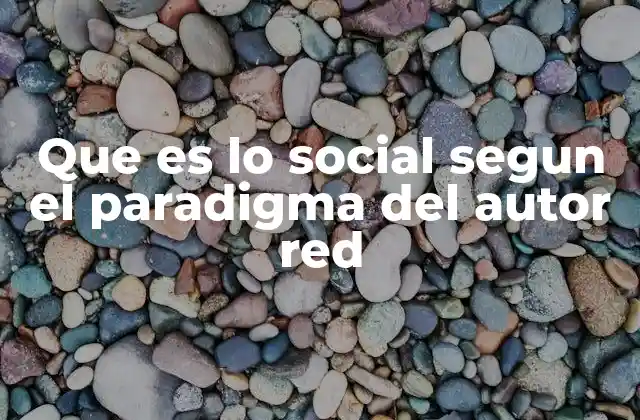 Que es Lo Social Segun el Paradigma Del Autor Red