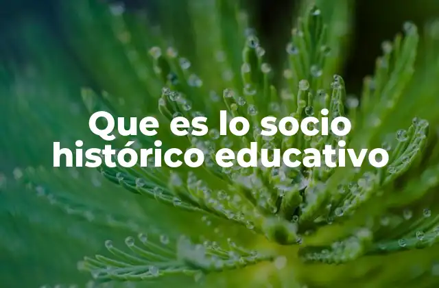 Que es Lo Socio Histórico Educativo