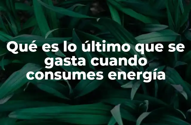 Qué es Lo Último que Se Gasta Cuando Consumes Energía