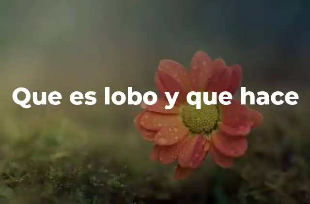 Que es Lobo y que Hace