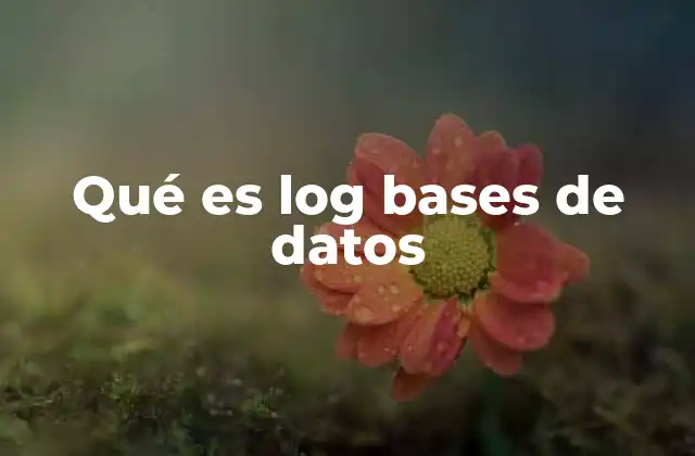 Qué es Log Bases de Datos 2 El papel de los logs en el manejo de transacciones
