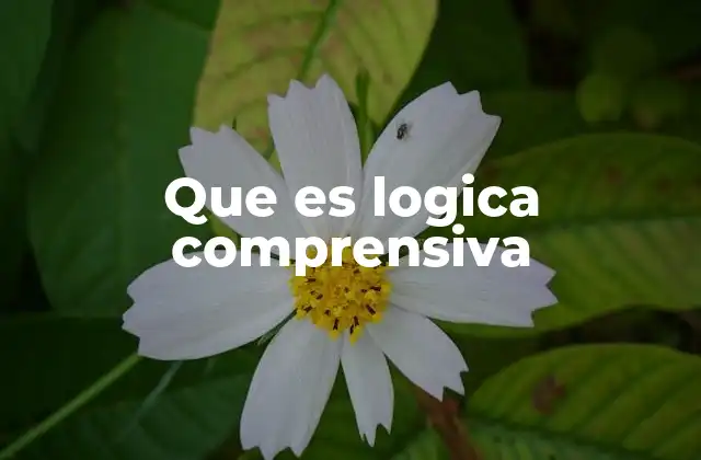 Que es Logica Comprensiva