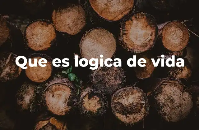 Que es Logica de Vida