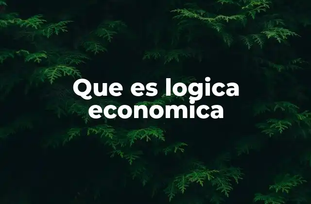 Que es Logica Economica
