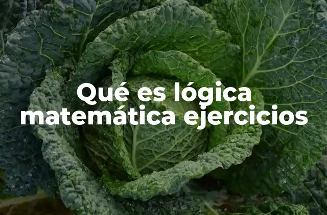 Qué es Lógica Matemática Ejercicios 2 Aplicaciones prácticas de la lógica matemática
