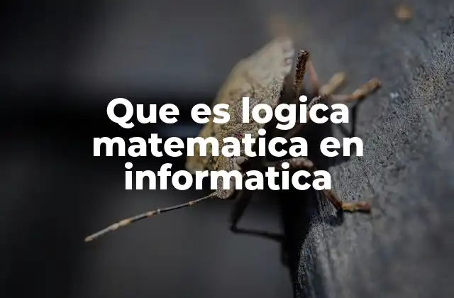 Que es Logica Matematica en Informatica