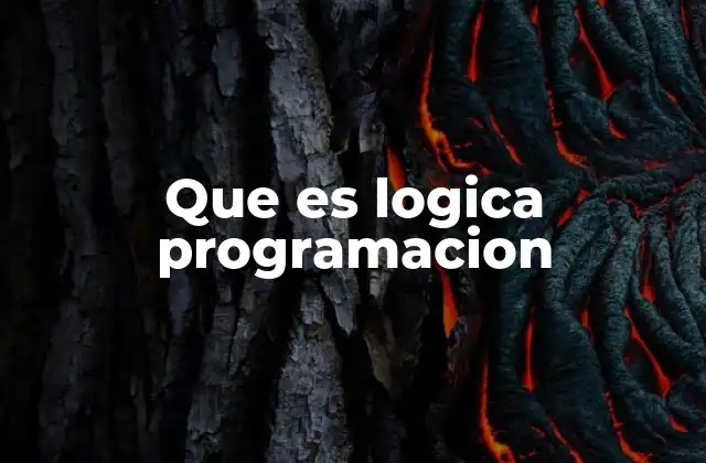 Que es Logica Programacion