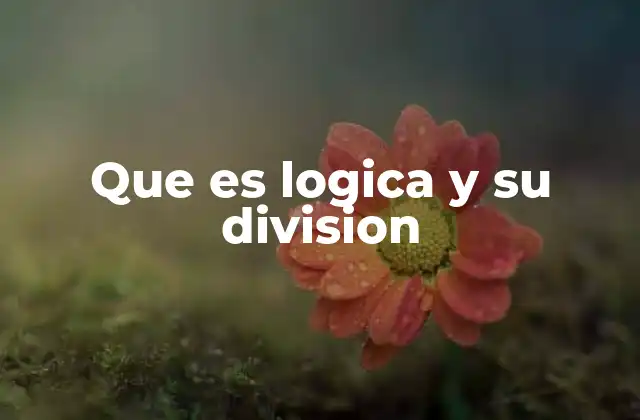 Que es Logica y Su Division