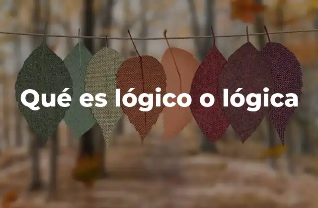 Qué es Lógico o Lógica